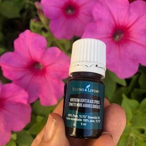 Young Living Northern Lights Black Spruce Essential Oil